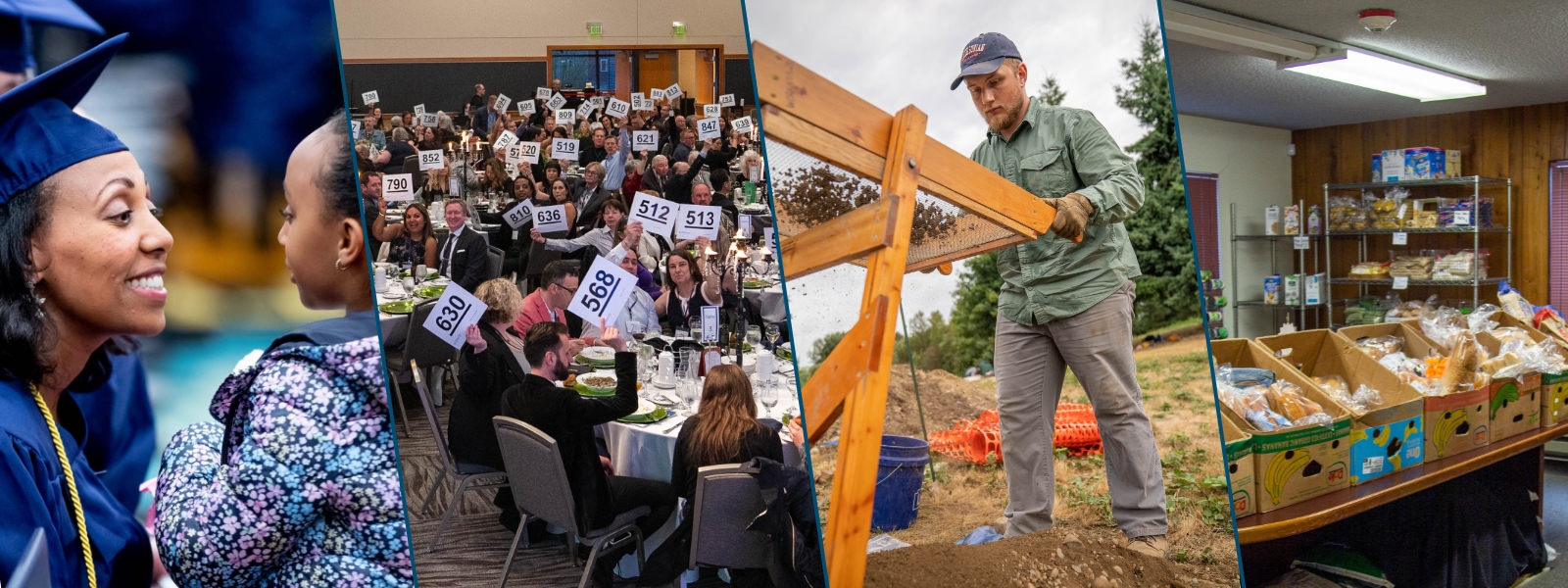 About the Foundation