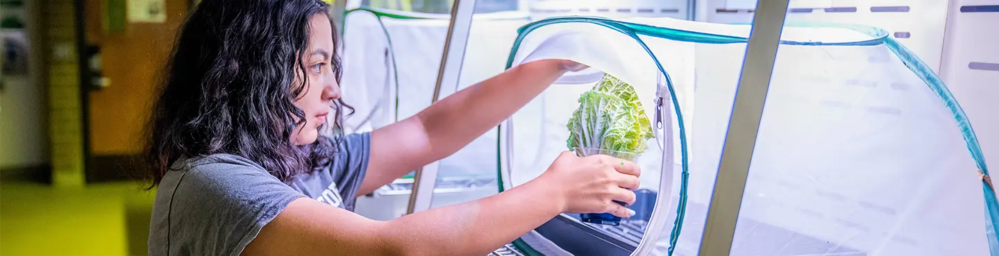 Student working on undergraduate research project