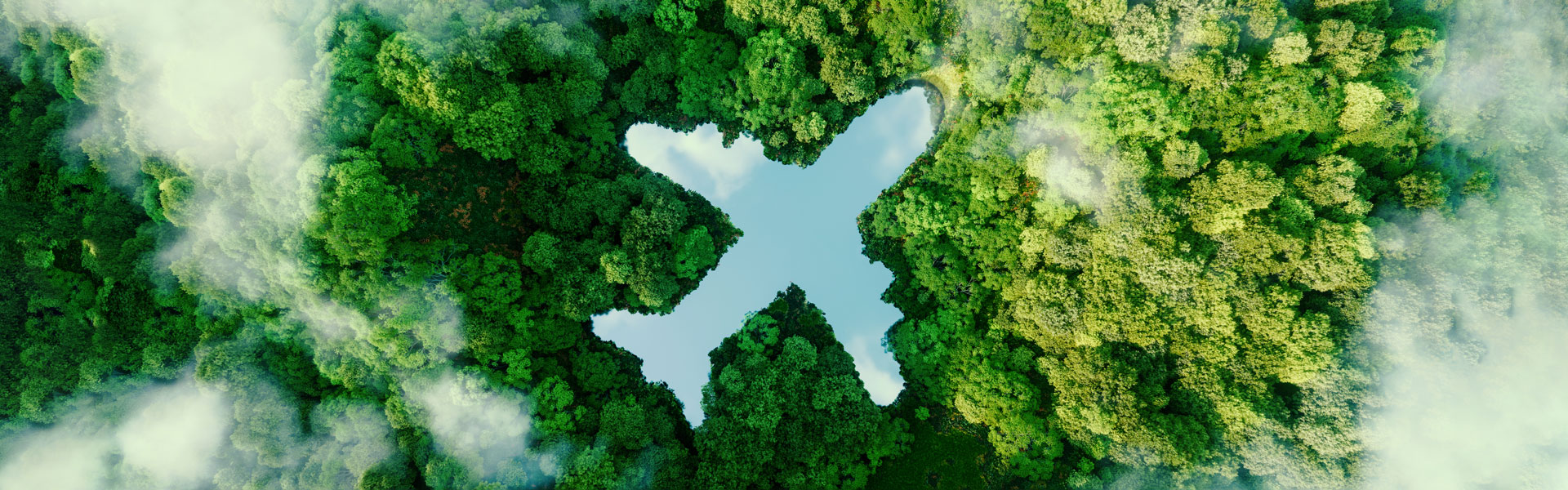 Lake in a forest in the shape of a plane