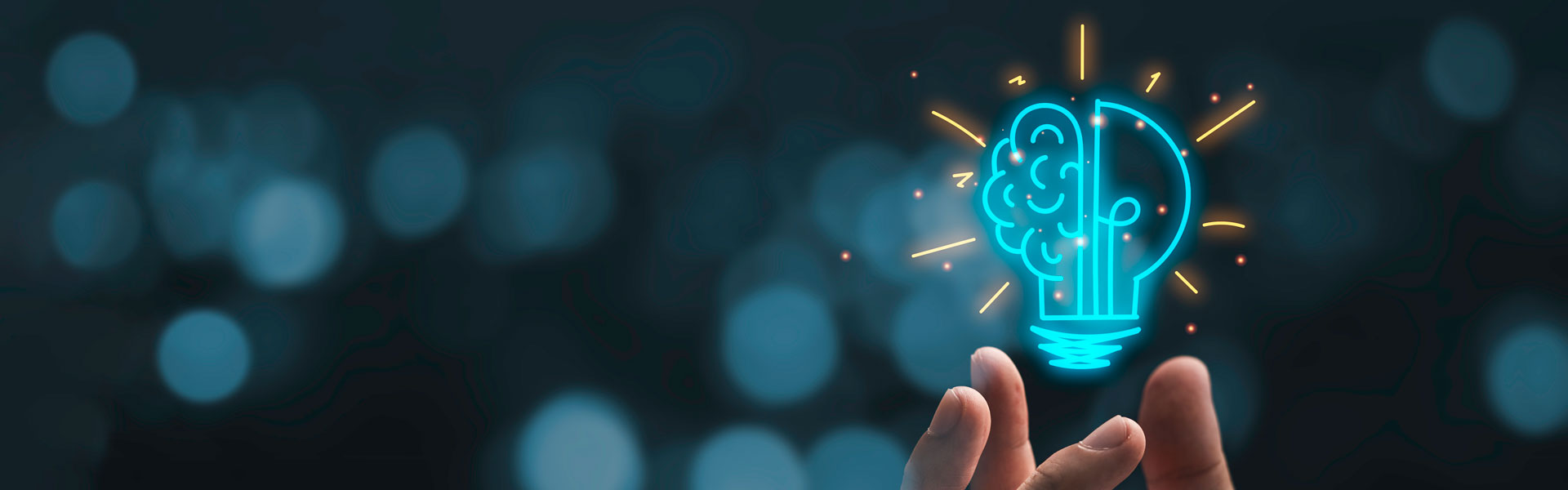 Hand holding a lightbulb