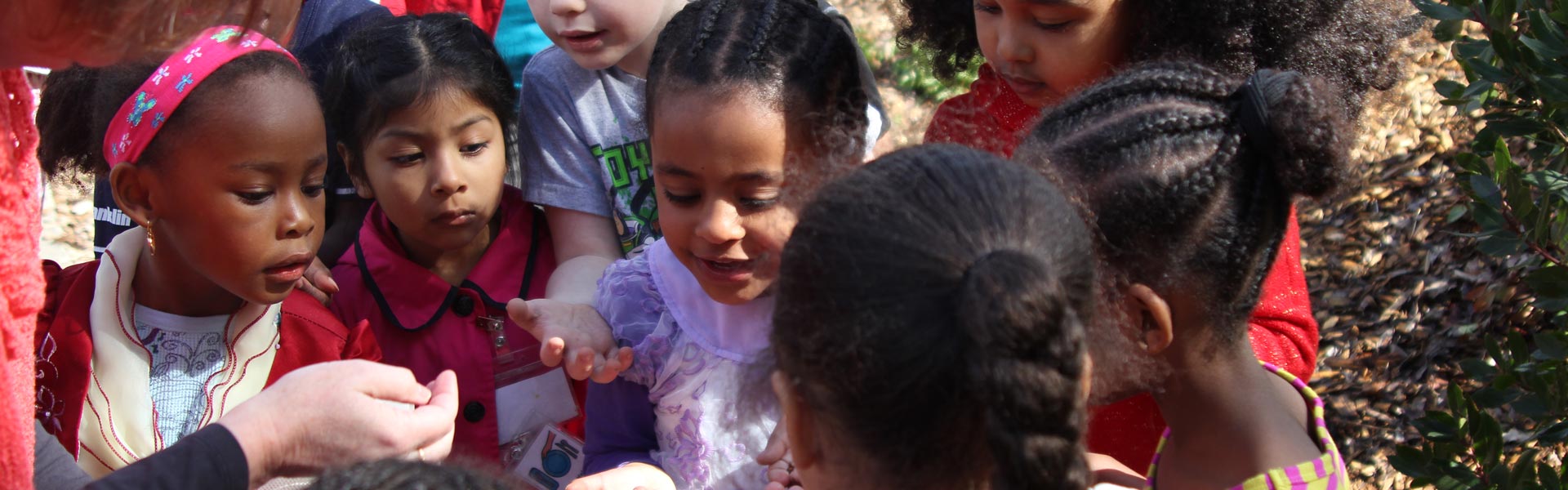 Children playing together