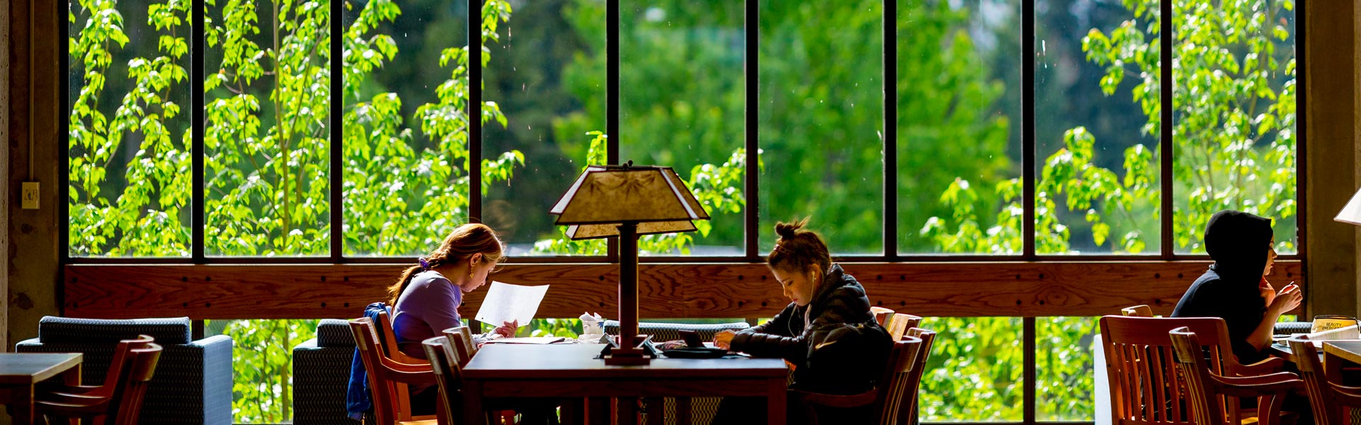 Students at the library